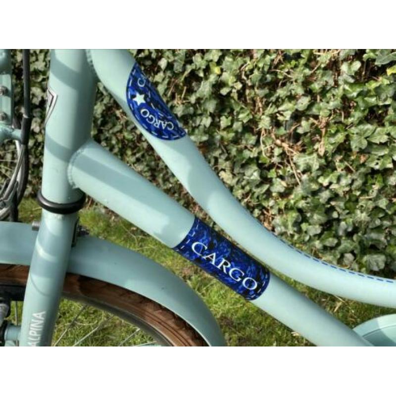 Meisjes Alpina Cargo 22 inch Soft Mint (+ gratis fietstas)