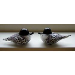 Twee design Murano glas vogels